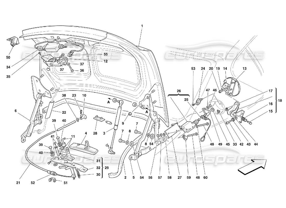 Ferrari 456 M GT/M GTA Kofferraumhaube, Motorhaube und Benzinabdeckung Teilediagramm