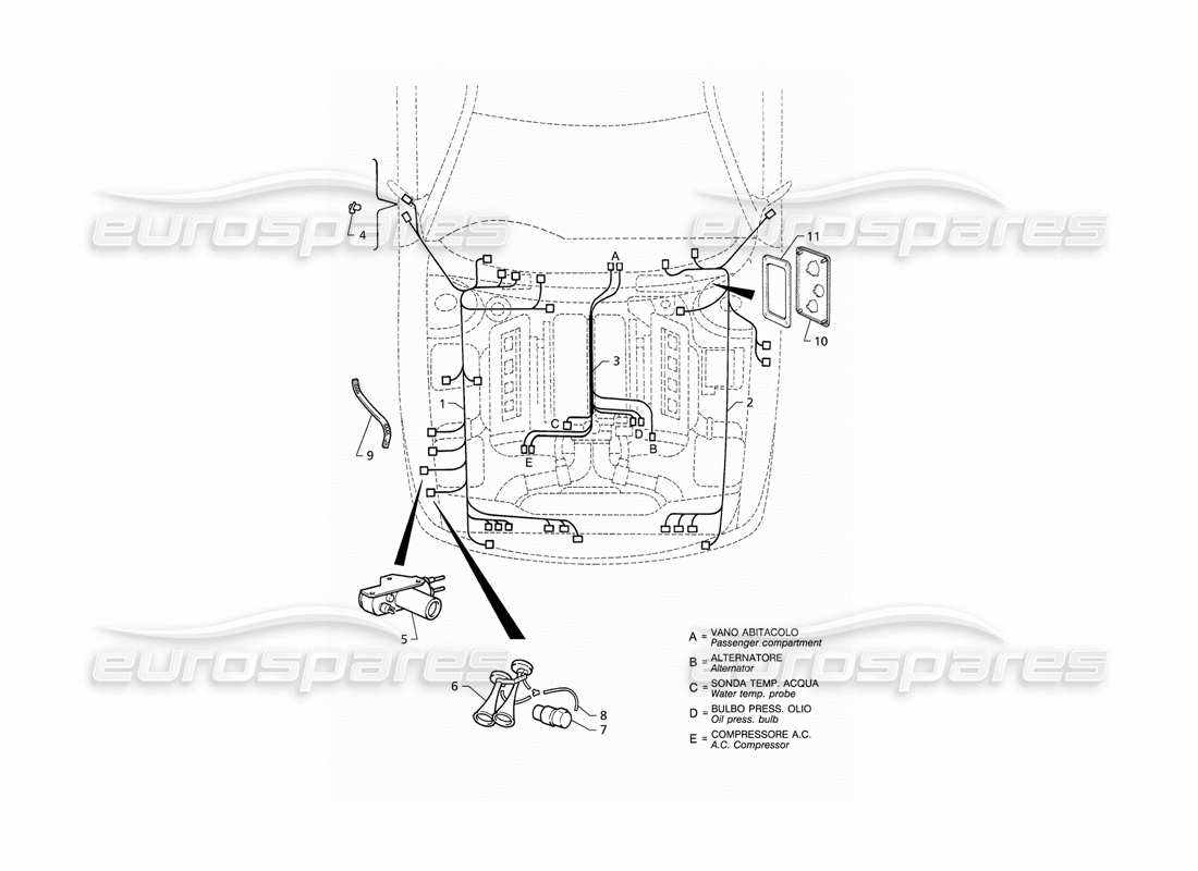 Maserati QTP V8 (1998) Elektrisches System: Teildiagramm des Motorraums (RHD).