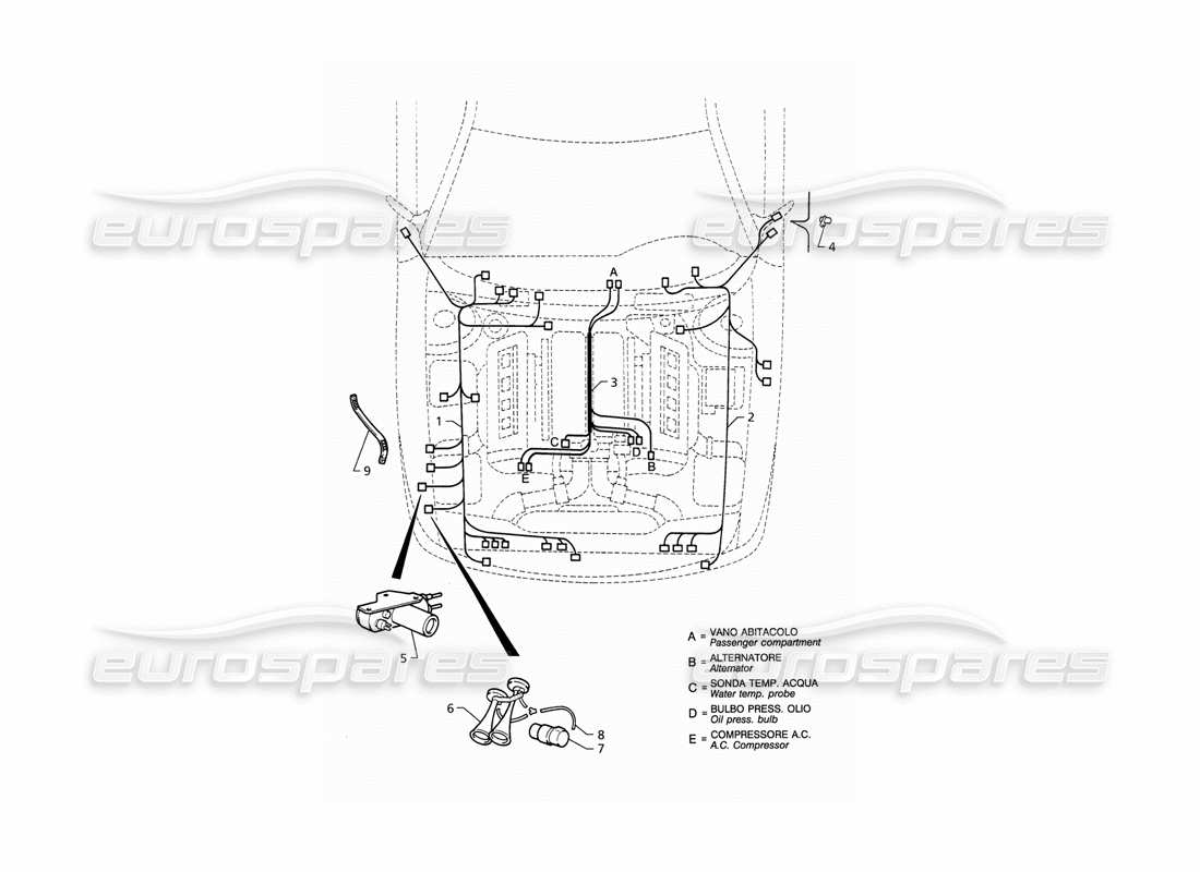 Maserati QTP V8 (1998) Elektrisches System: Teildiagramm des Motorraums (LHD).