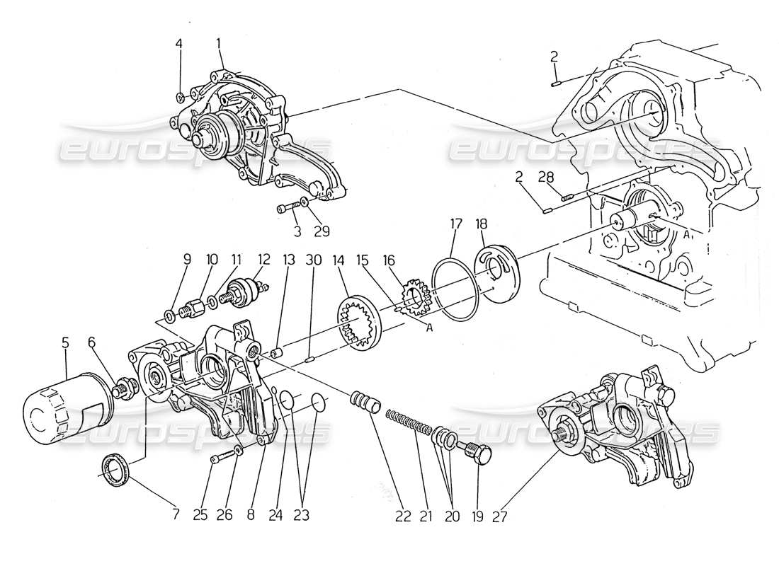 maserati 2.24v wasserpumpe - ölpumpe teilediagramm