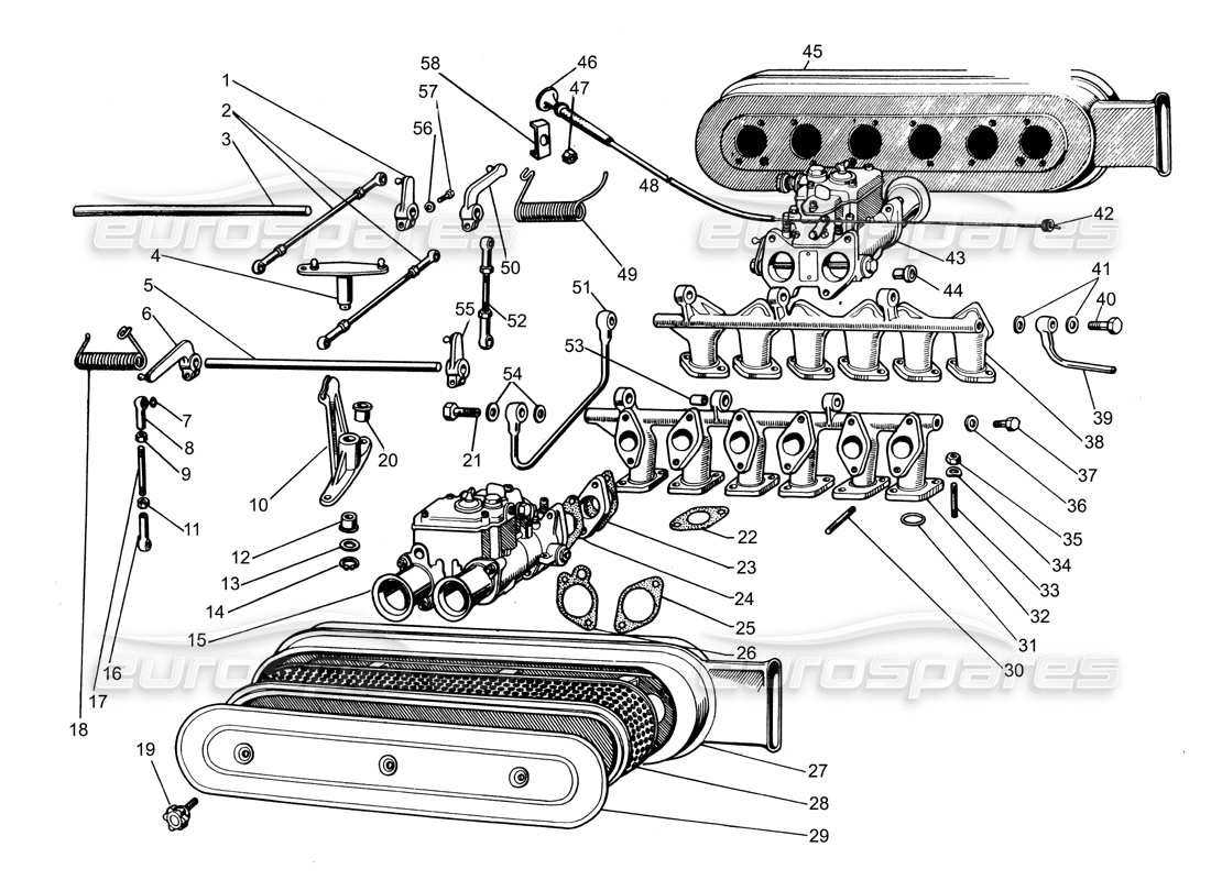 lamborghini espada einlasskrümmer teilediagramm