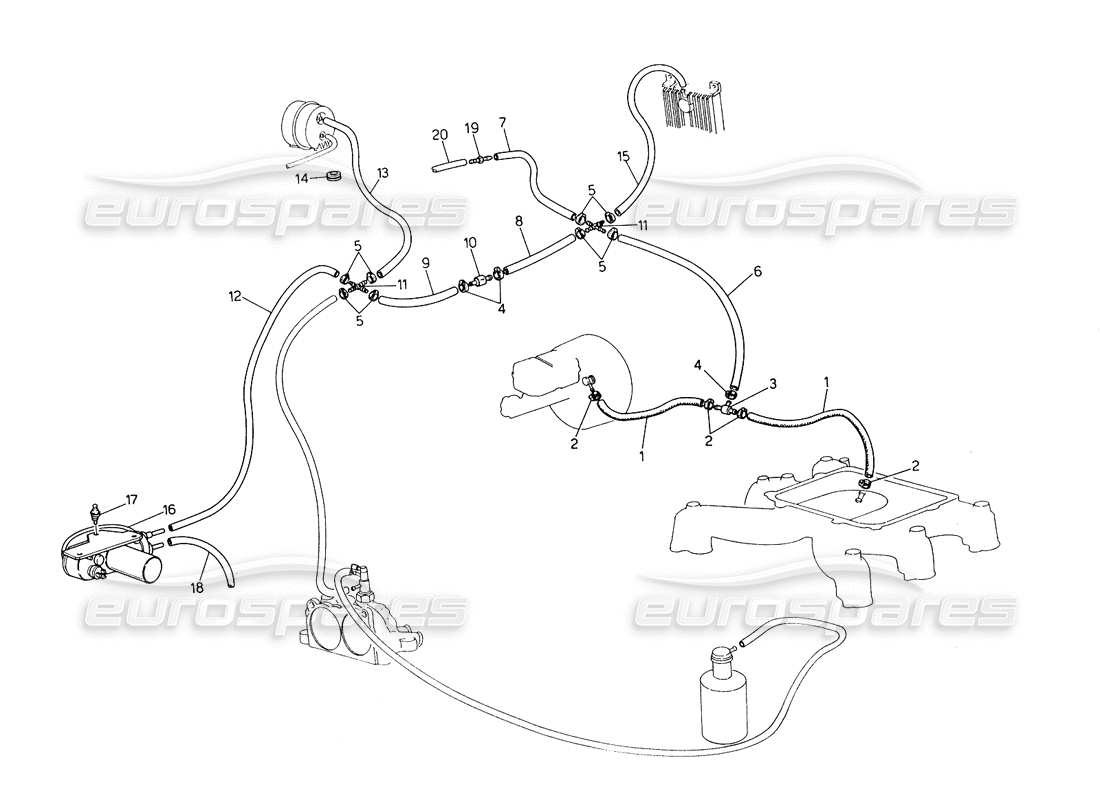 maserati biturbo spider teilediagramm für das verdunstungssystem (rechte lenkung mit lambda-fühler)