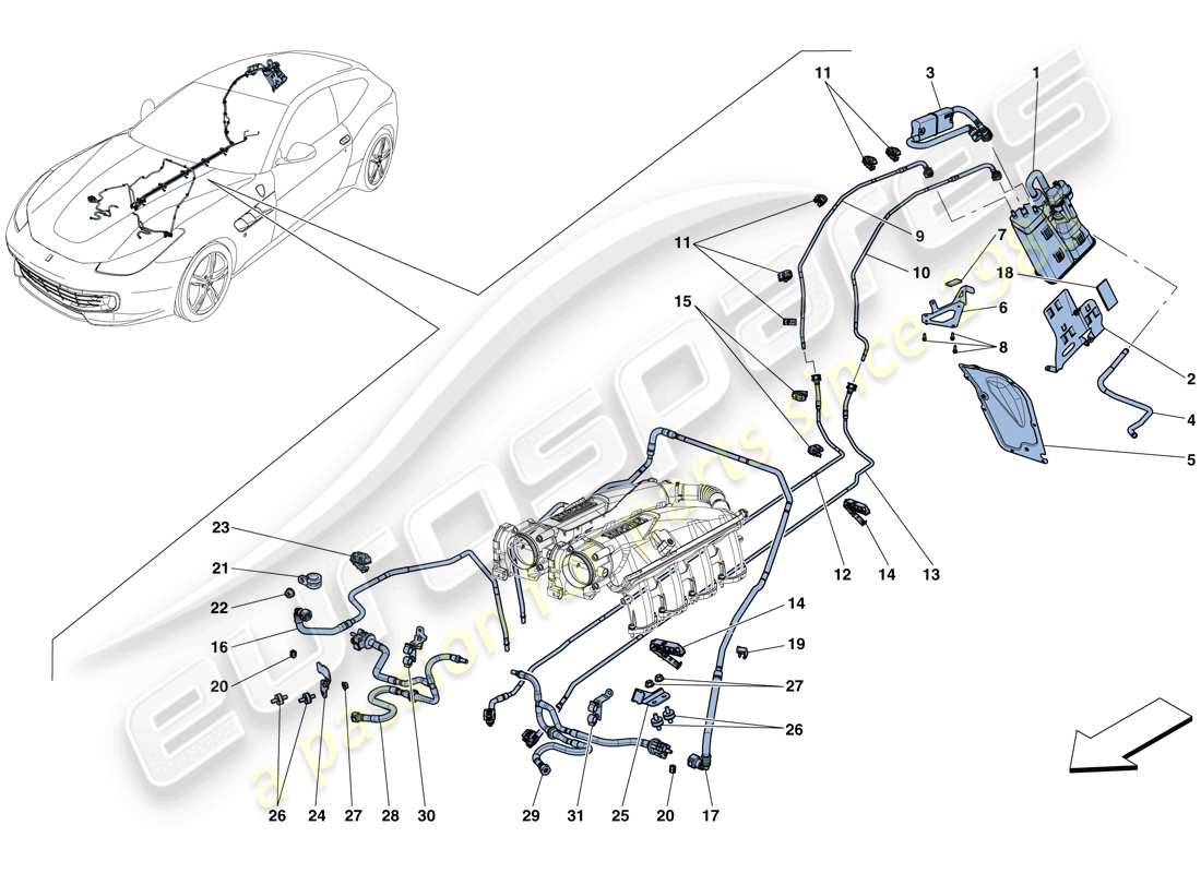 ferrari gtc4 lusso t (rhd) teilediagramm für das verdunstungsemissions-kontrollsystem