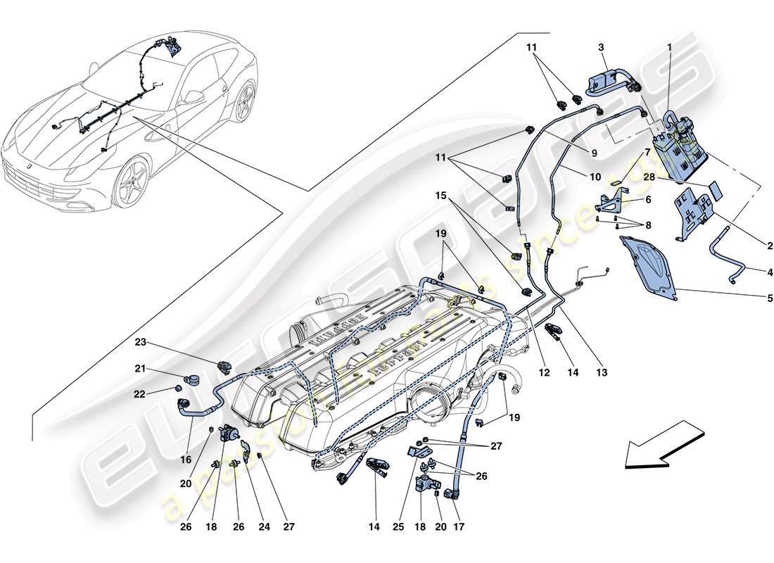 ferrari ff (europe) teilediagramm für das verdunstungsemissions-kontrollsystem