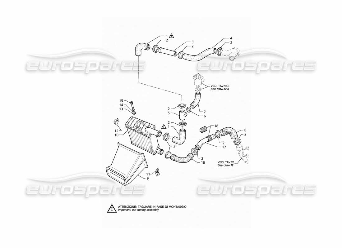 maserati qtp v6 (1996) diagramm der rechten seite der wärmetauscherrohre