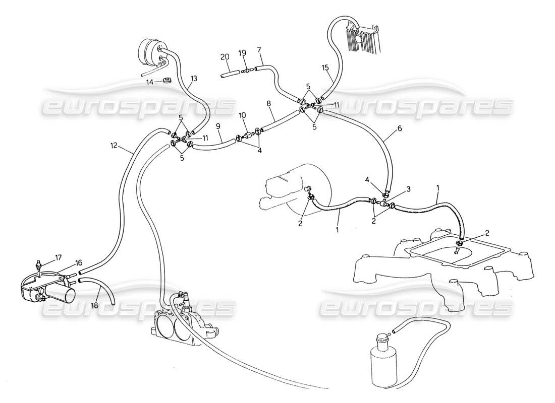 maserati 222 / 222e biturbo teilediagramm für das verdunstungssystem (rechte lenkung mit lambda-fühler)