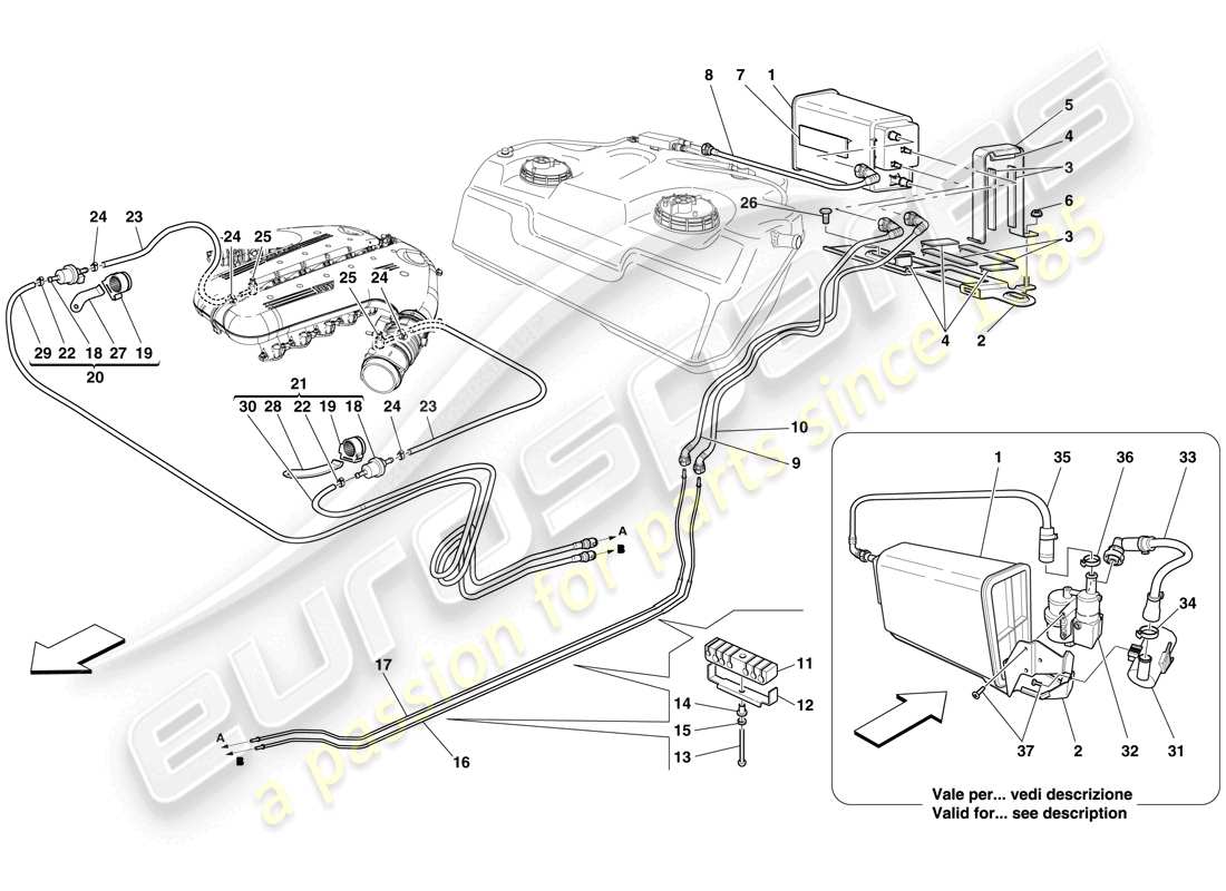 ferrari 599 gto (europe) teilediagramm für das verdunstungsemissions-kontrollsystem