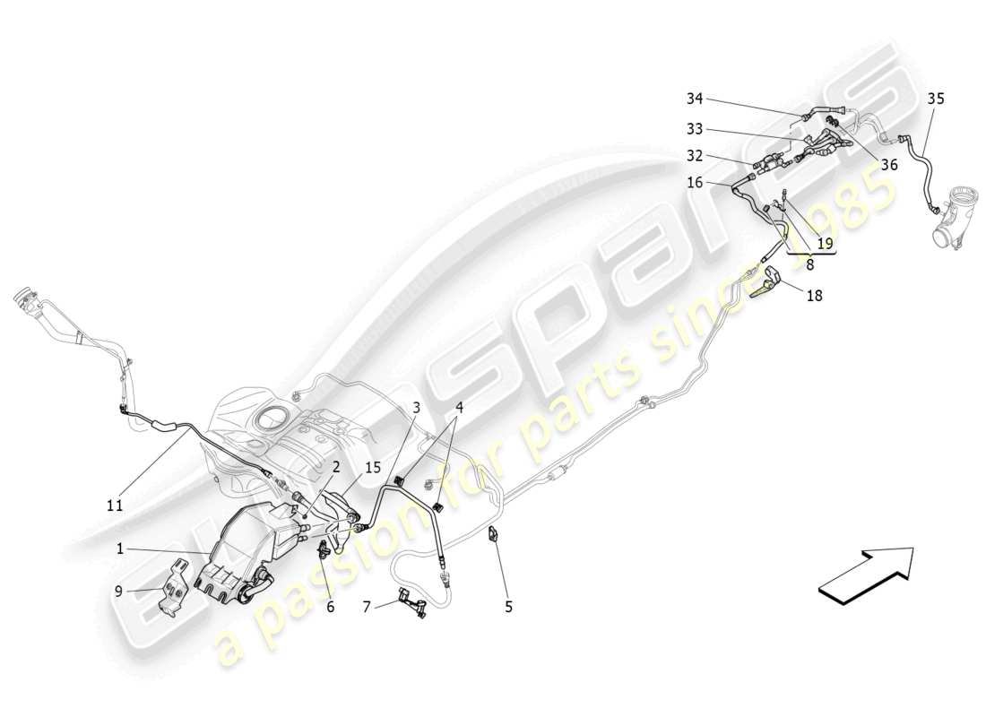 maserati levante trofeo (2020) kraftstoffdampf-rückführungssystem teilediagramm