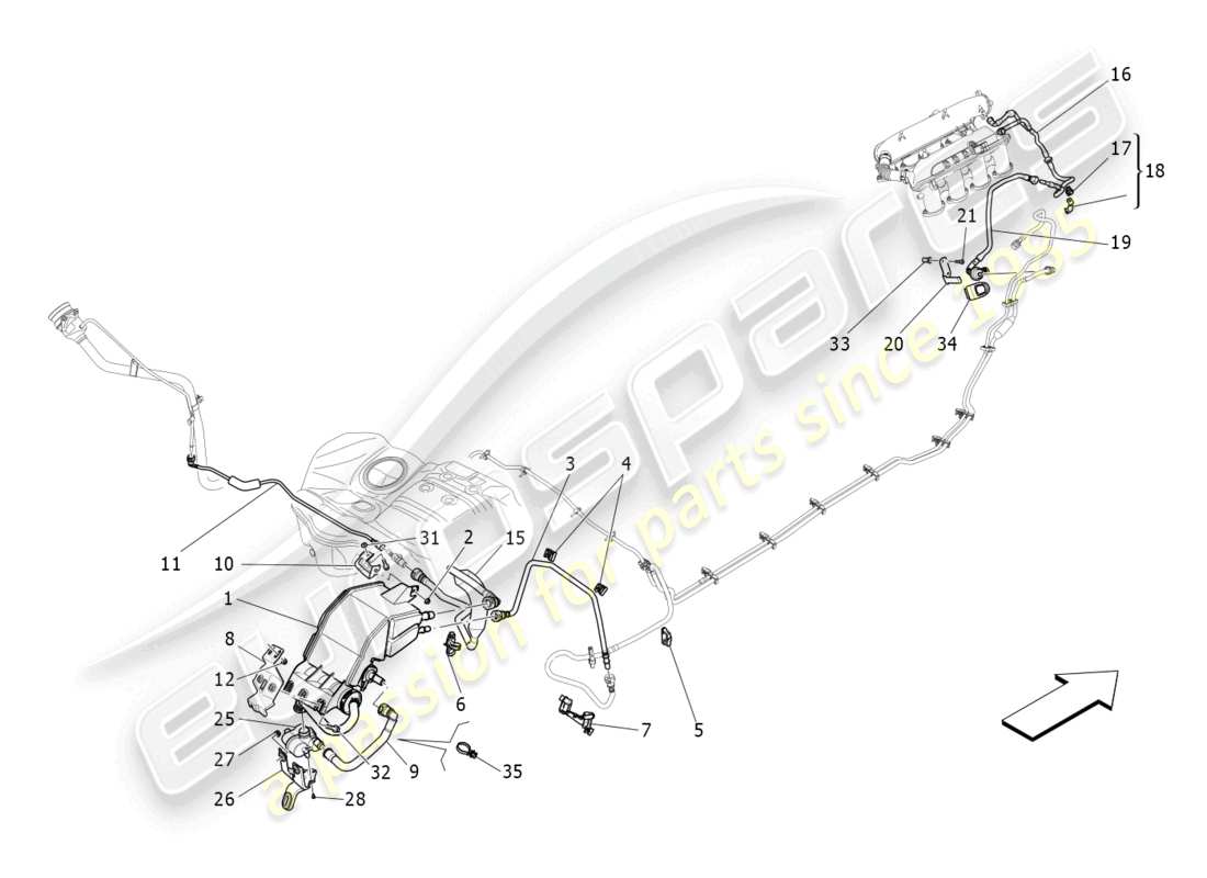 maserati quattroporte (2018) kraftstoffdampf-rückführungssystem teilediagramm