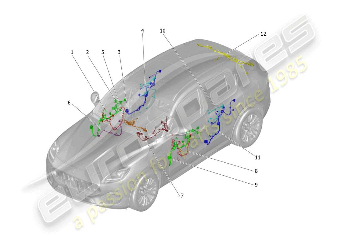 maserati grecale trofeo (2023) hauptverkabelung teilediagramm