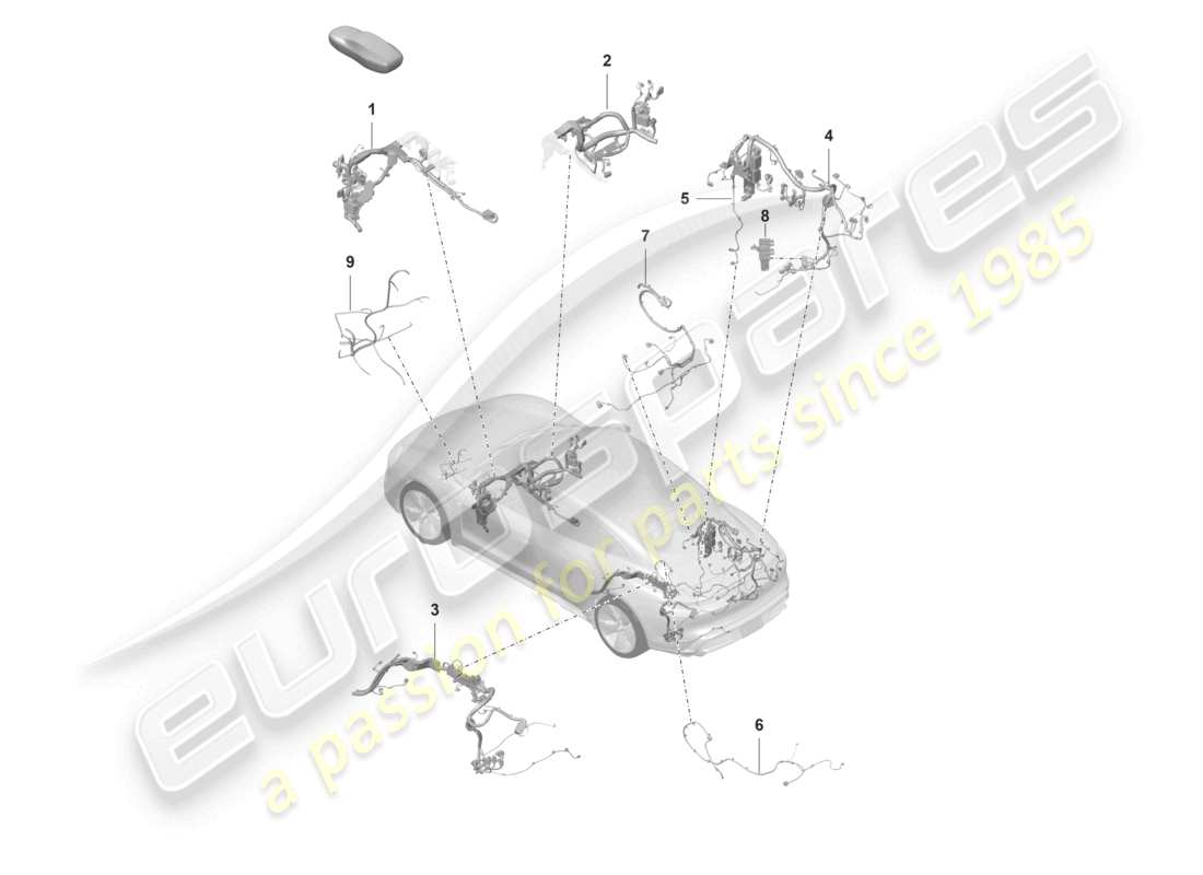 porsche 2021 (taycan 9j1-1) teilabschnitt kabelbaum für fahrgastraum heckklappe reifendruckkontrollsystem temperatursensor für kühlmittelkreislauf teildiagramm