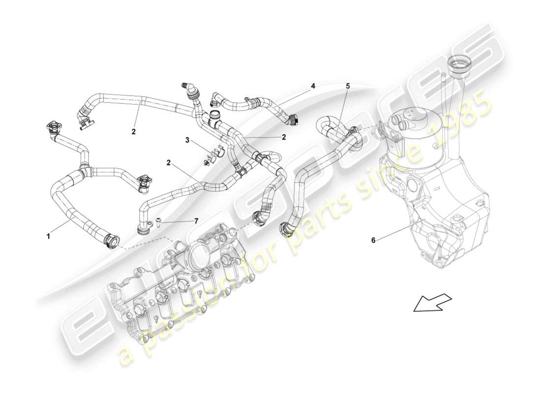 lamborghini lp550-2 spyder (2010) belüftung für zylinderkopfdeckel ersatzteildiagramm