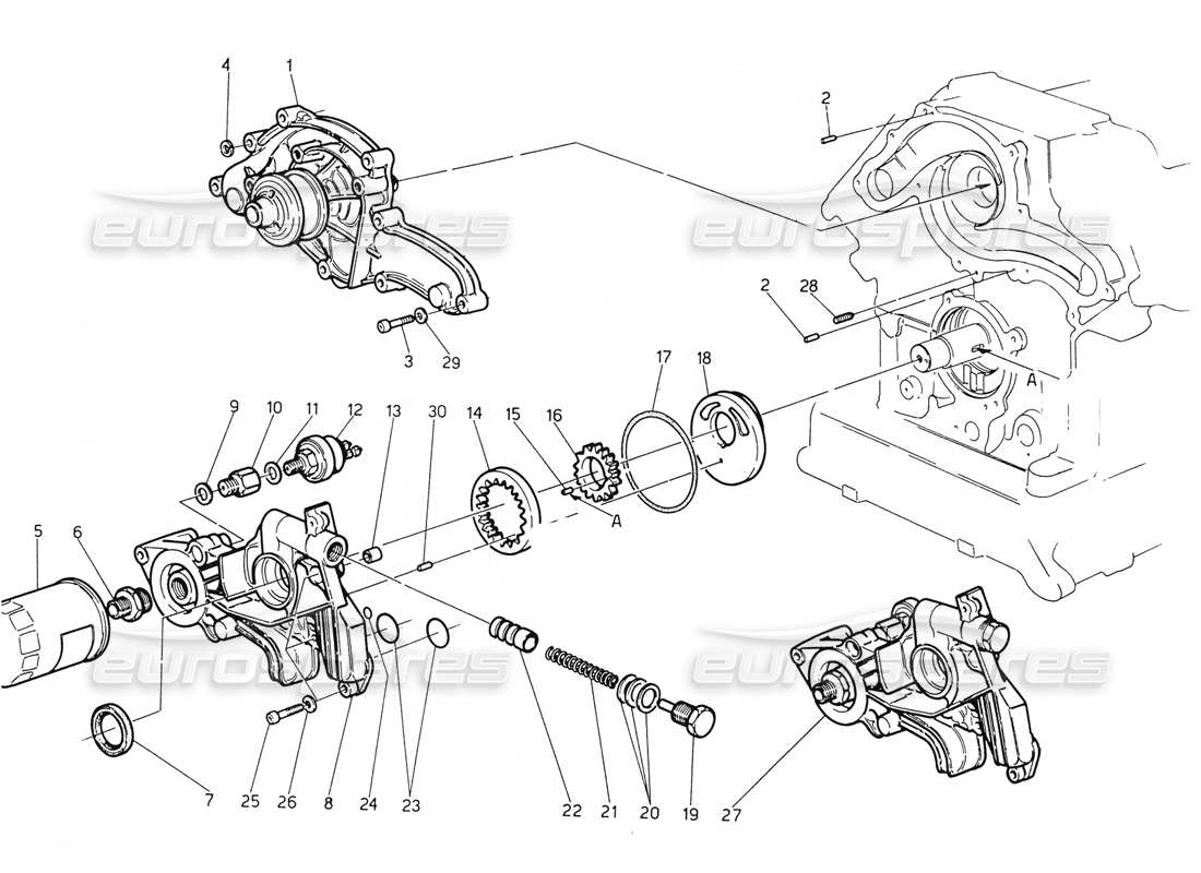 maserati biturbo spider wasserpumpe - ölpumpe teilediagramm