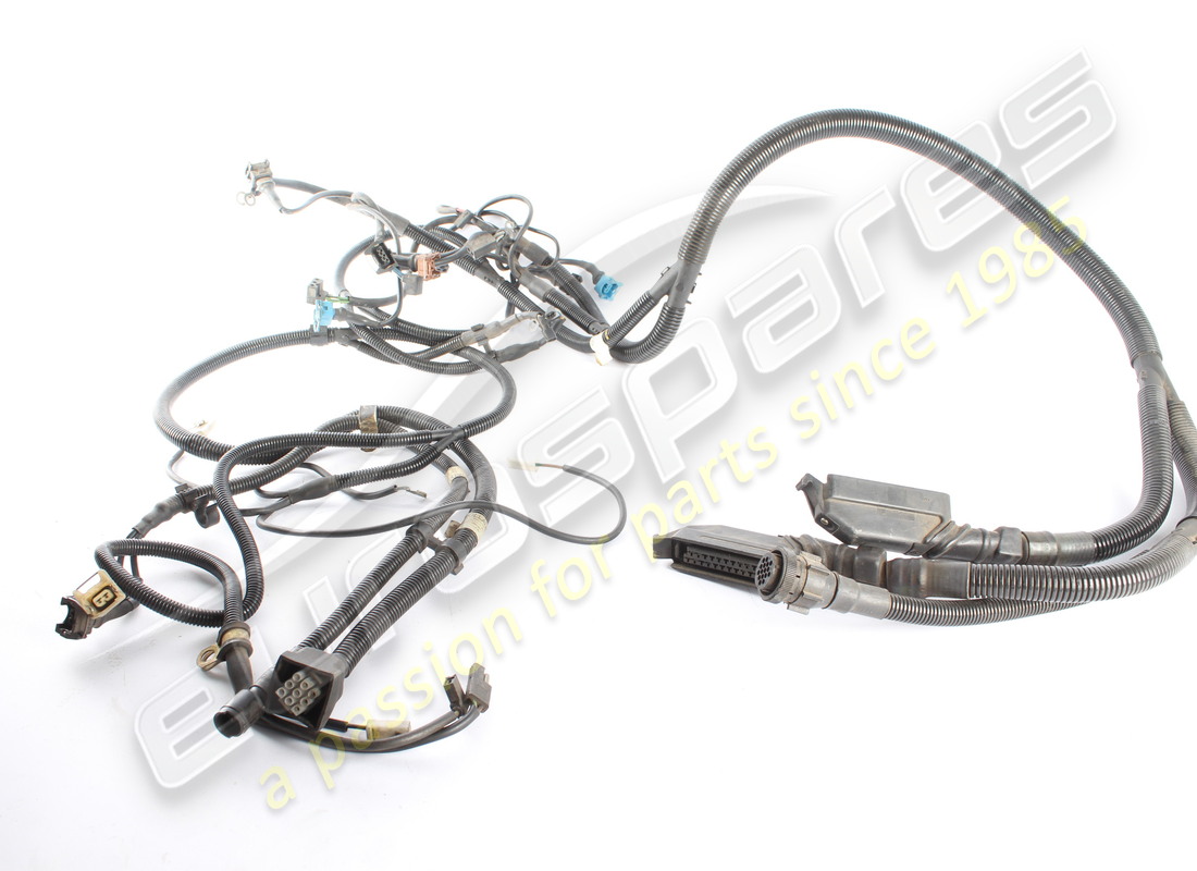 gebrauchte ferrari motorkabel. teilenummer 123658 (1)