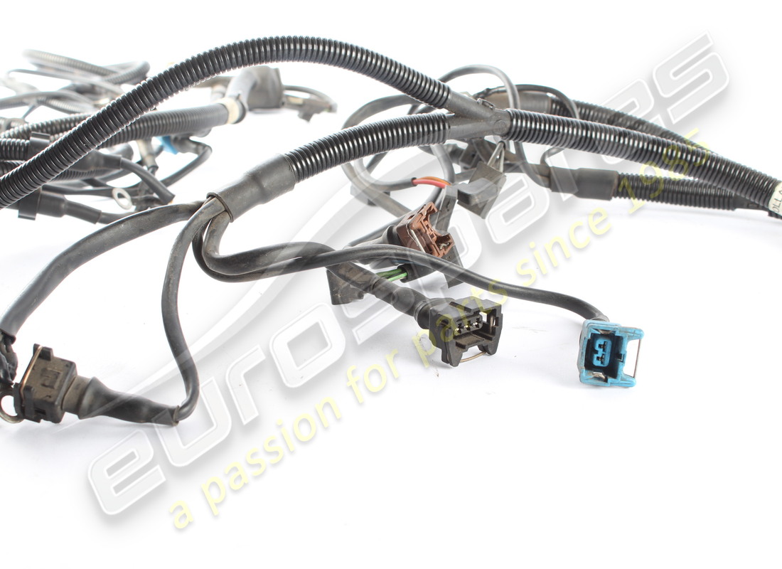gebrauchte ferrari motorkabel. teilenummer 123658 (4)