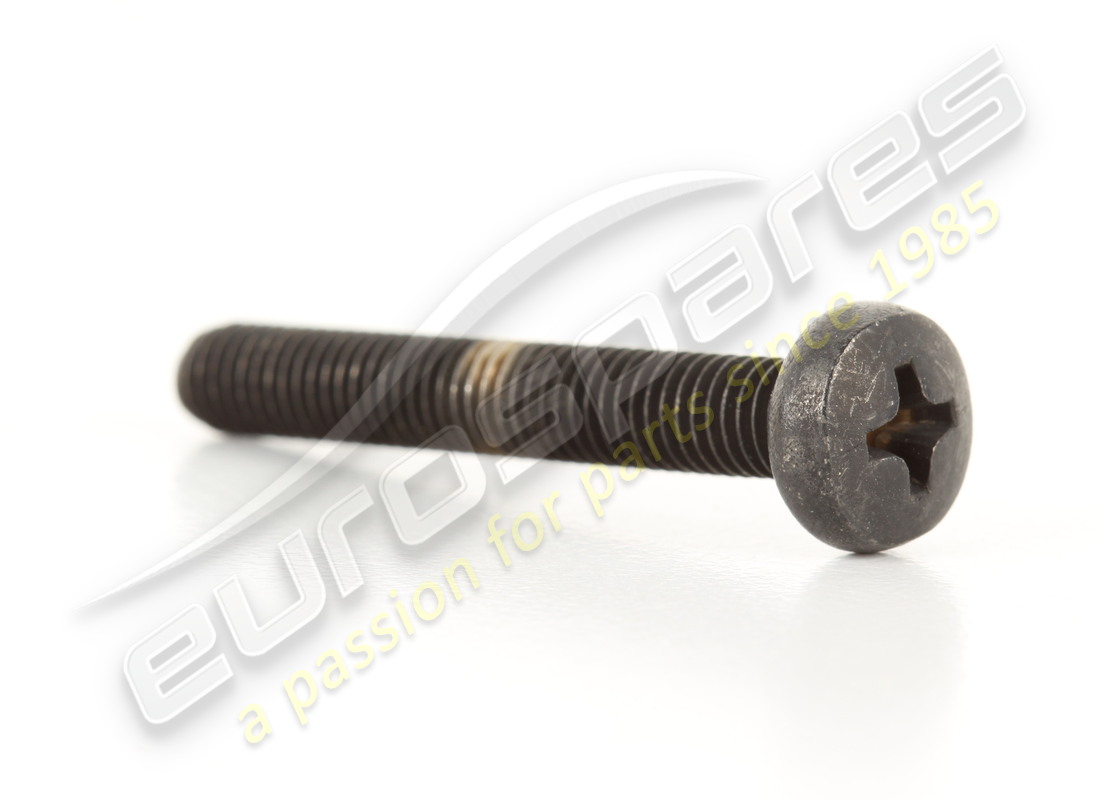 neue ferrari schraube. teilenummer 13274972 (1)