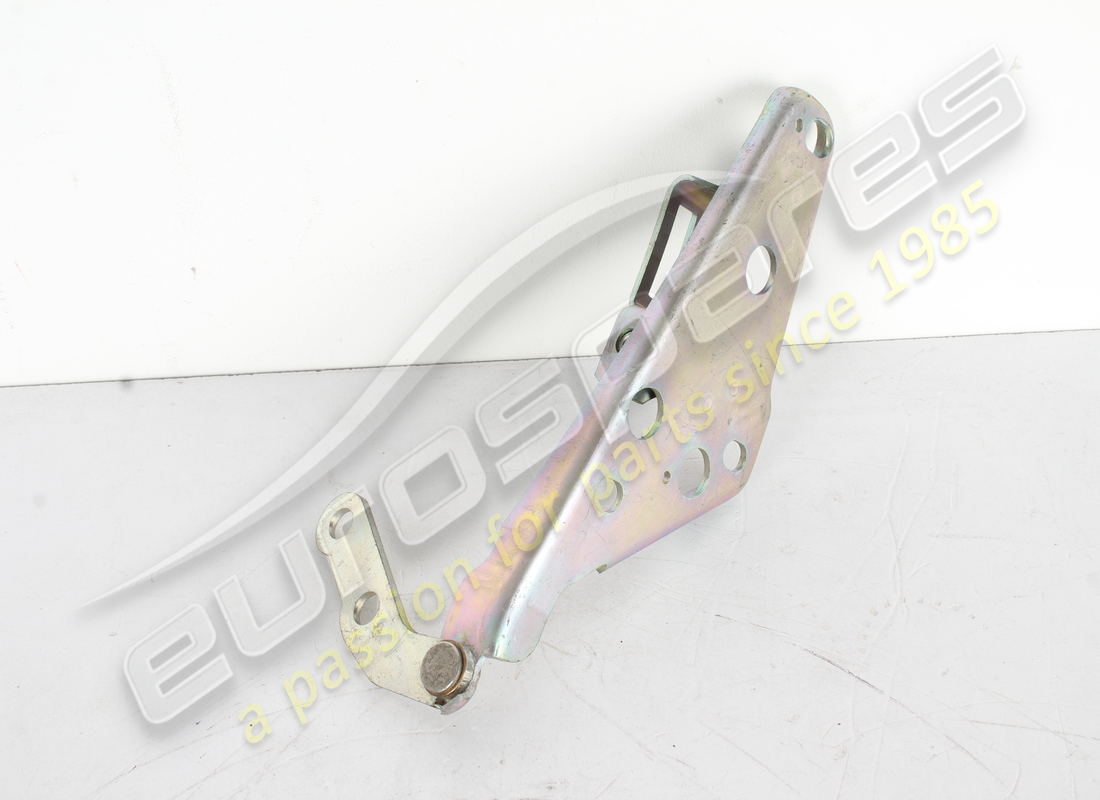 NEU Ferrari KOMPLETTES LINKES SCHARNIER. TEILENUMMER 67159900 (1)