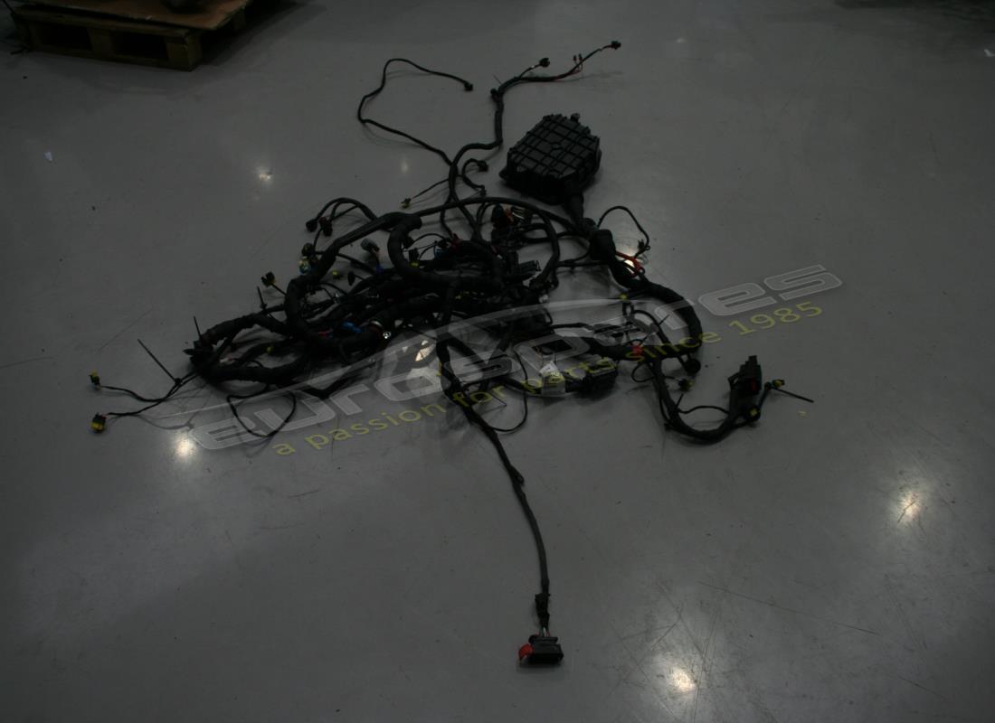 GEBRAUCHTE Maserati MOTORRAUMVERKABELUNG HA . TEILENUMMER 341064 (1)