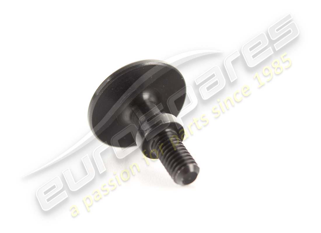 neue ferrari schraube. teilenummer 67509600 (2)