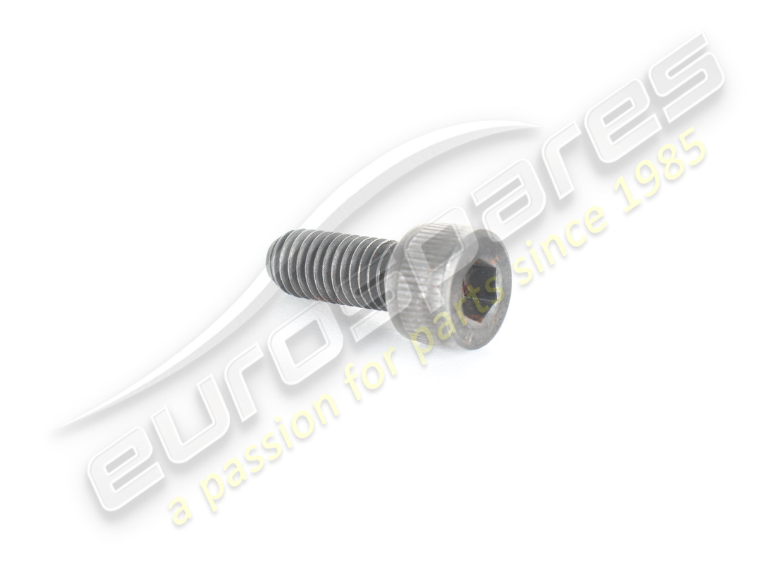 neue ferrari schraube. teilenummer 67347600 (1)