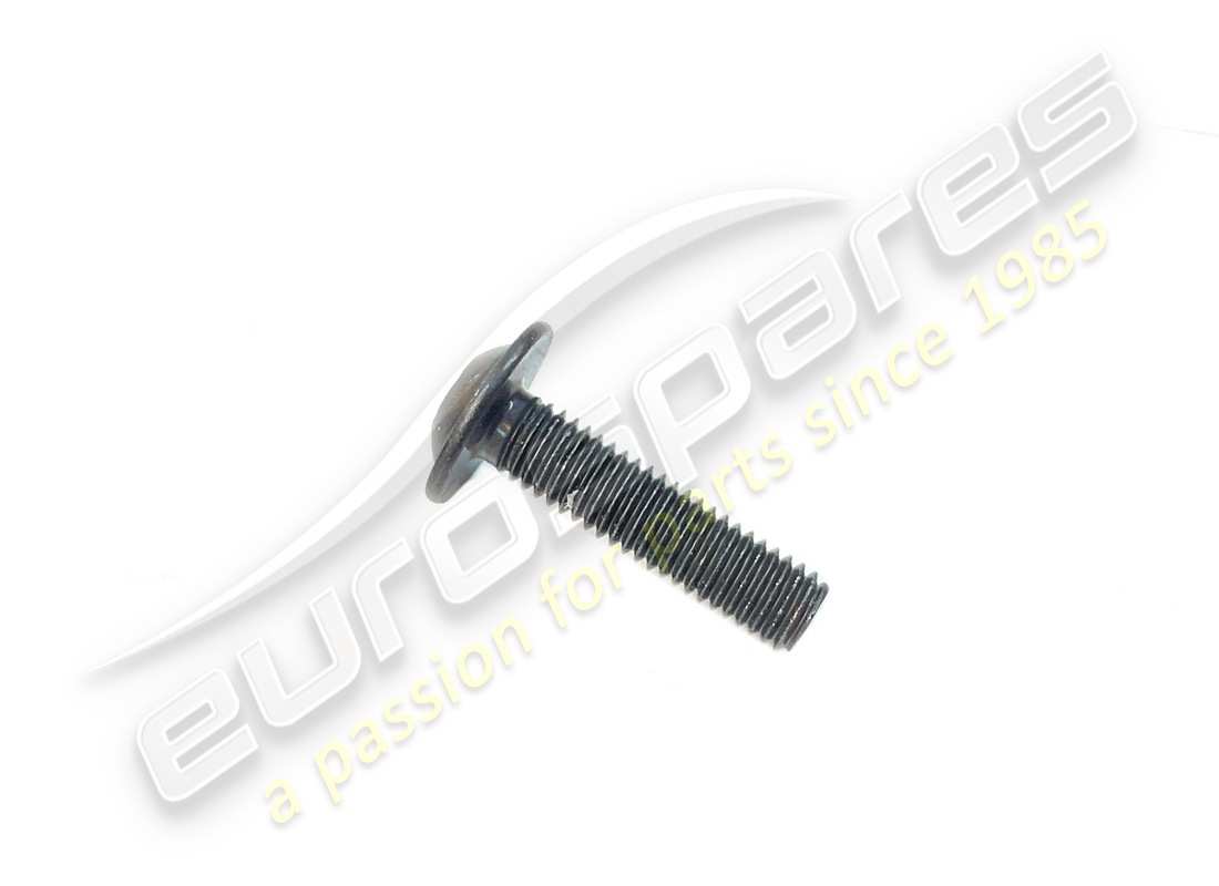 neue ferrari schraube. teilenummer 85692300 (1)