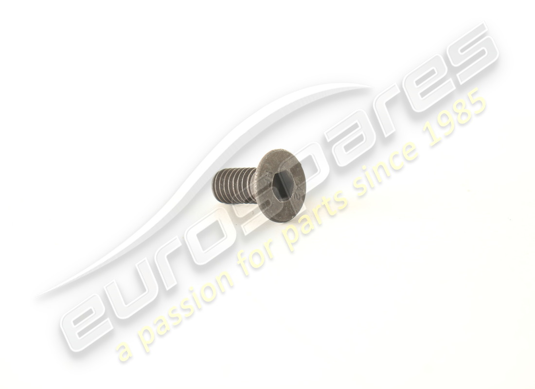 neue ferrari schraube -l=14 mm-. teilenummer 69193000 (1)