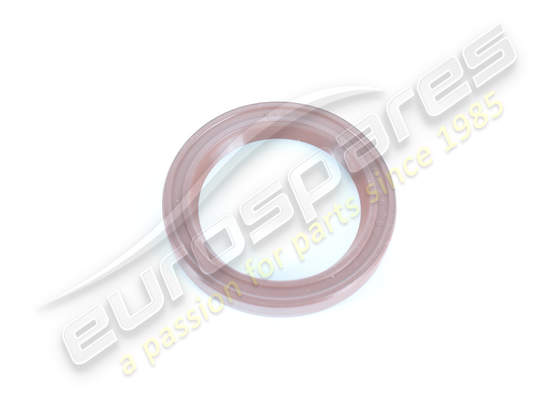neue ferrari dichtung. teilenummer 170894 (1)
