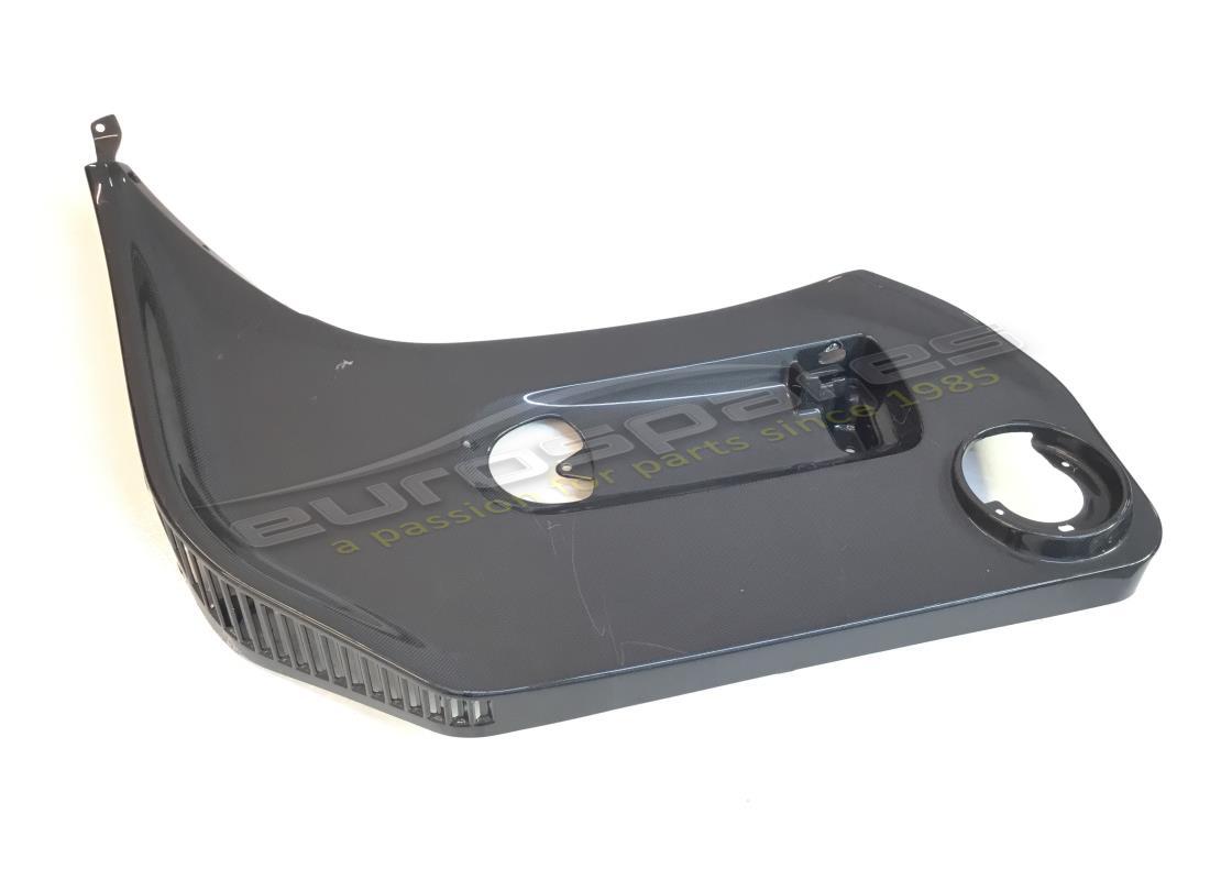 NEU (SONSTIGE) Ferrari CARBON LINKES UNTERES PANEL. TEILENUMMER 66807100 (1)