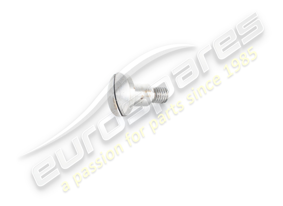 neue ferrari schraube. teilenummer 60273901 (1)