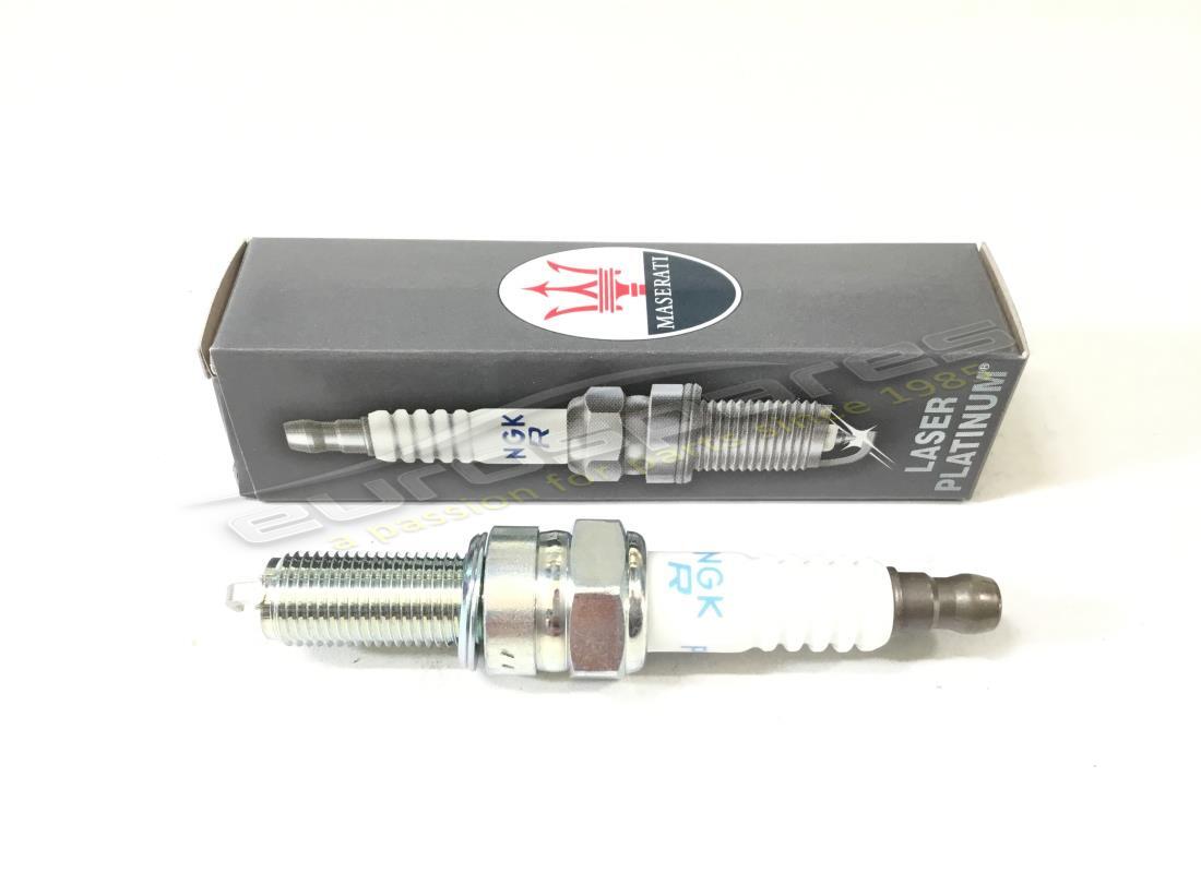 neue maserati zündkerze (ngk). teilenummer 239242 (1)