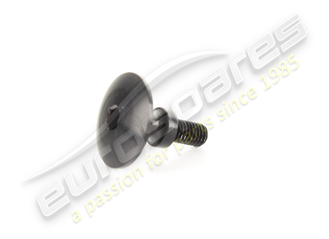 neue ferrari schraube. teilenummer 67509600 (1)