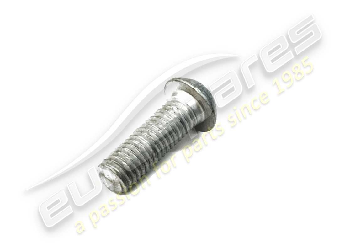 neue ferrari schraube. teilenummer 85633900 (1)