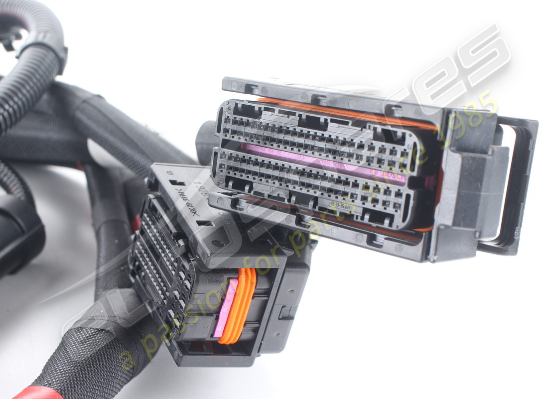 neues ferrari lh motor-einspritzkabel. teilenummer 251899 (3)