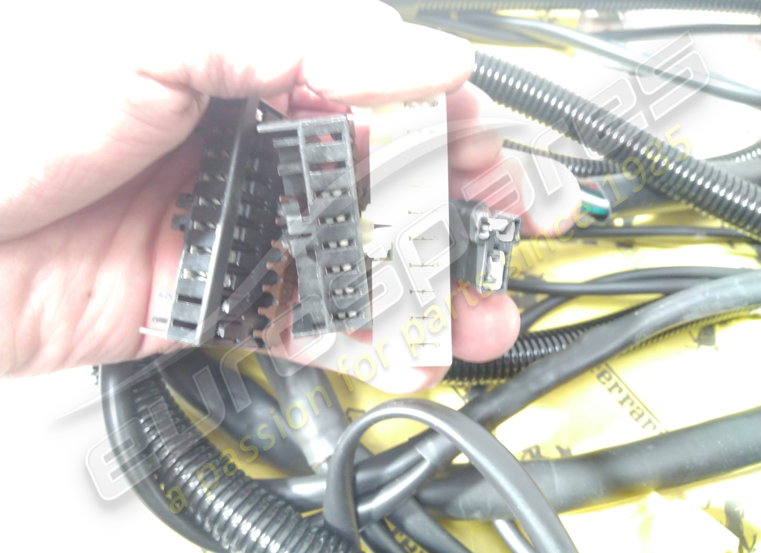 verwendet ferrari vorderseite kabel. teilenummer 172955 (2)