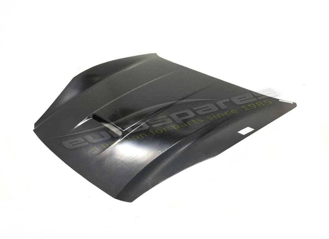 neue (sonstige) ferrari vorderhaubenhaube. teilenummer 69802911 (1)