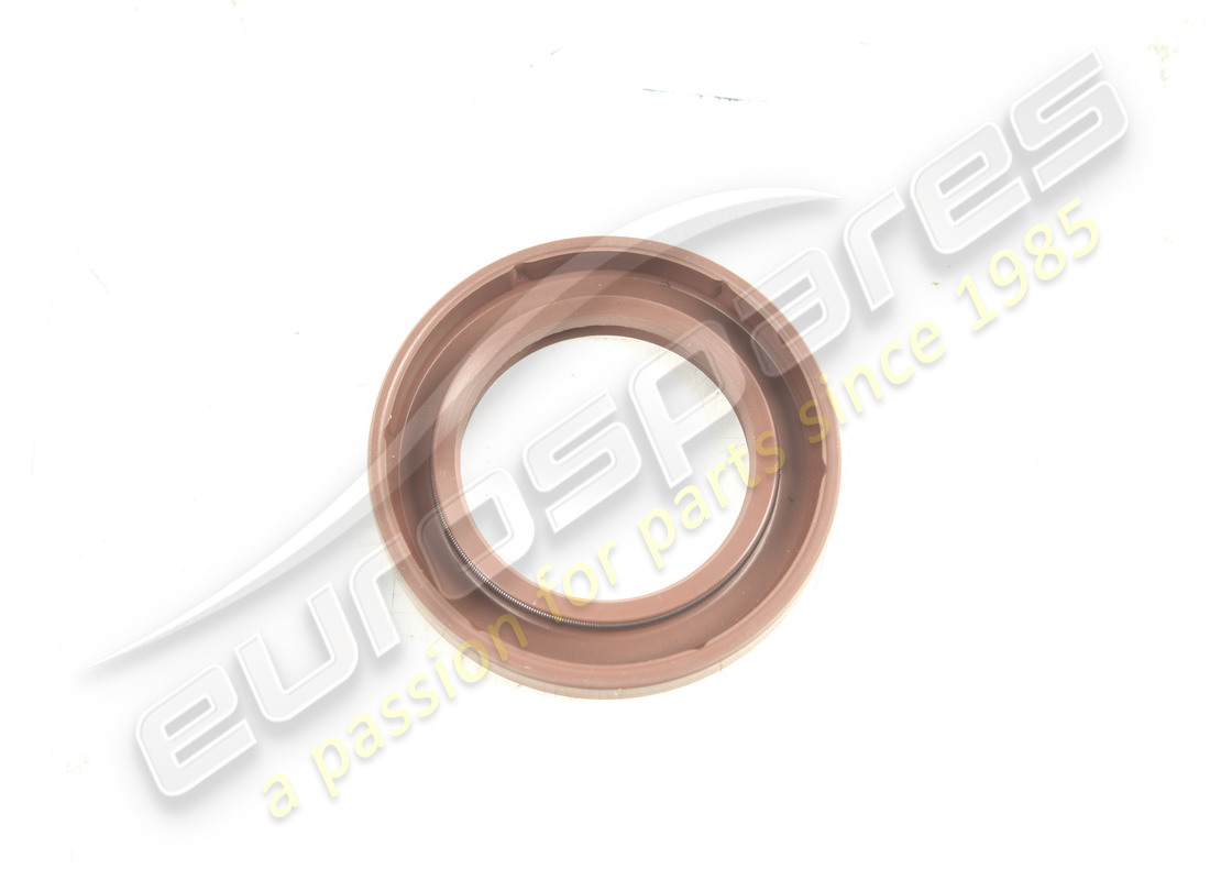 neuer ferrari dichtungsring. teilenummer 172363 (2)