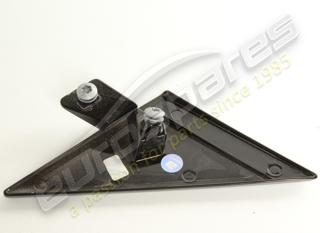 gebrauchte ferrari türleiste links. teilenummer 80341700 (2)