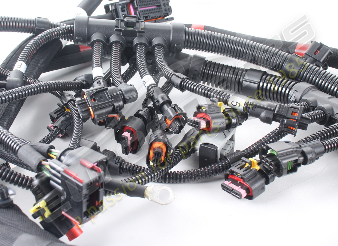 neues ferrari lh motor-einspritzkabel. teilenummer 251899 (4)