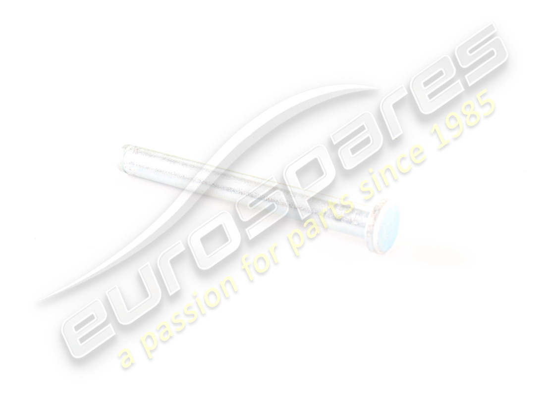 neuer ferrari stift für scharnier. teilenummer 64803400 (1)