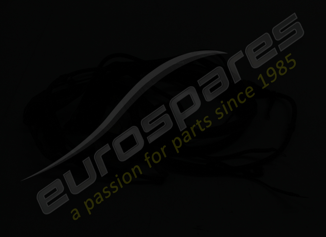 VERWENDETE FERRARI VERBINDUNGSKABEL FÜR LH EN. TEILENUMMER 200842 (2) verwendete ferrari verbindungskabel für lh en. teilenummer 200842 (2)