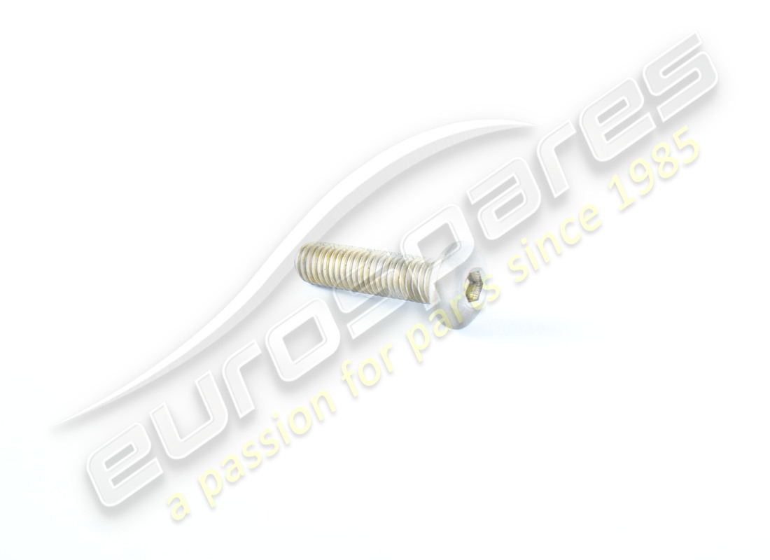 neue ferrari schraube. teilenummer 65311400 (1)