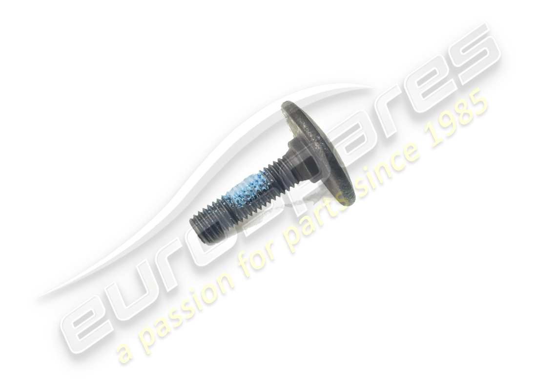 neue ferrari schraube. teilenummer 69854700 (1)