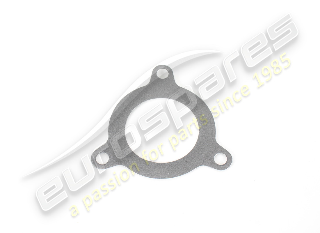 neue ferrari dichtung. teilenummer 248027 (1)