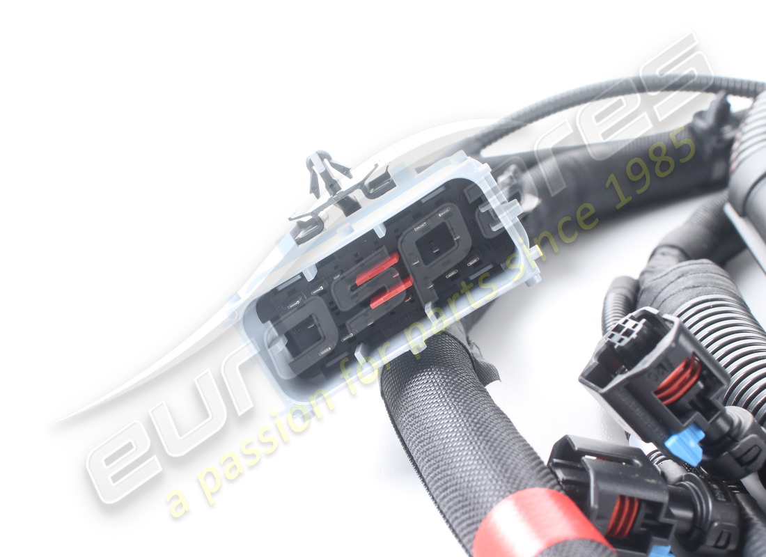 neues ferrari lh motor-einspritzkabel. teilenummer 251899 (2)