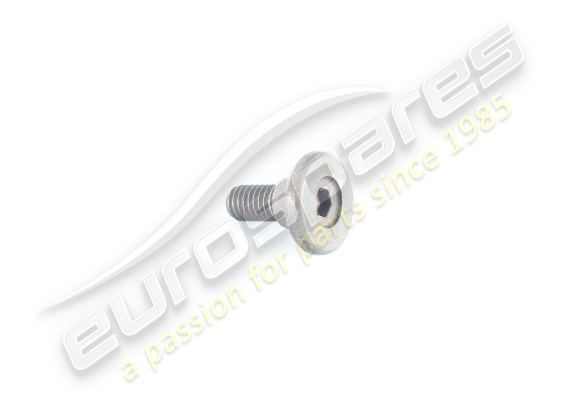 neue ferrari schraube. teilenummer 65970400 (1)