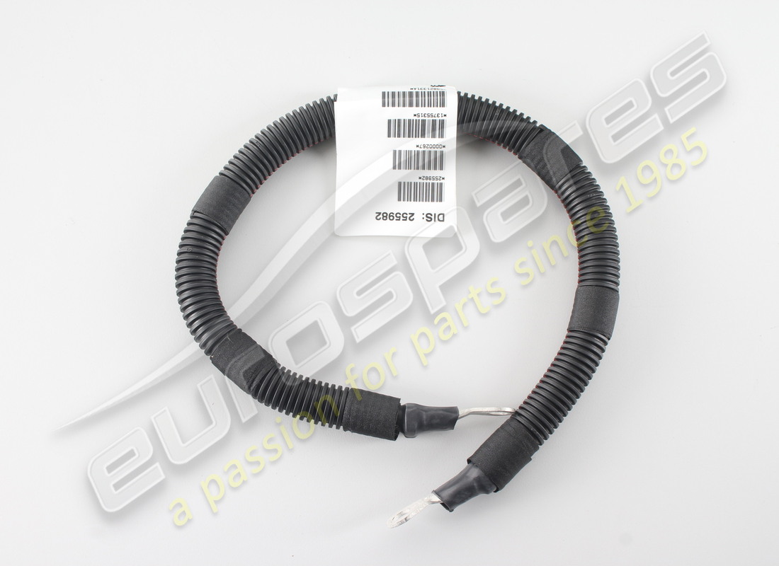 neu ferrari fahrgestell-massekabel. teilenummer 255982 (1)