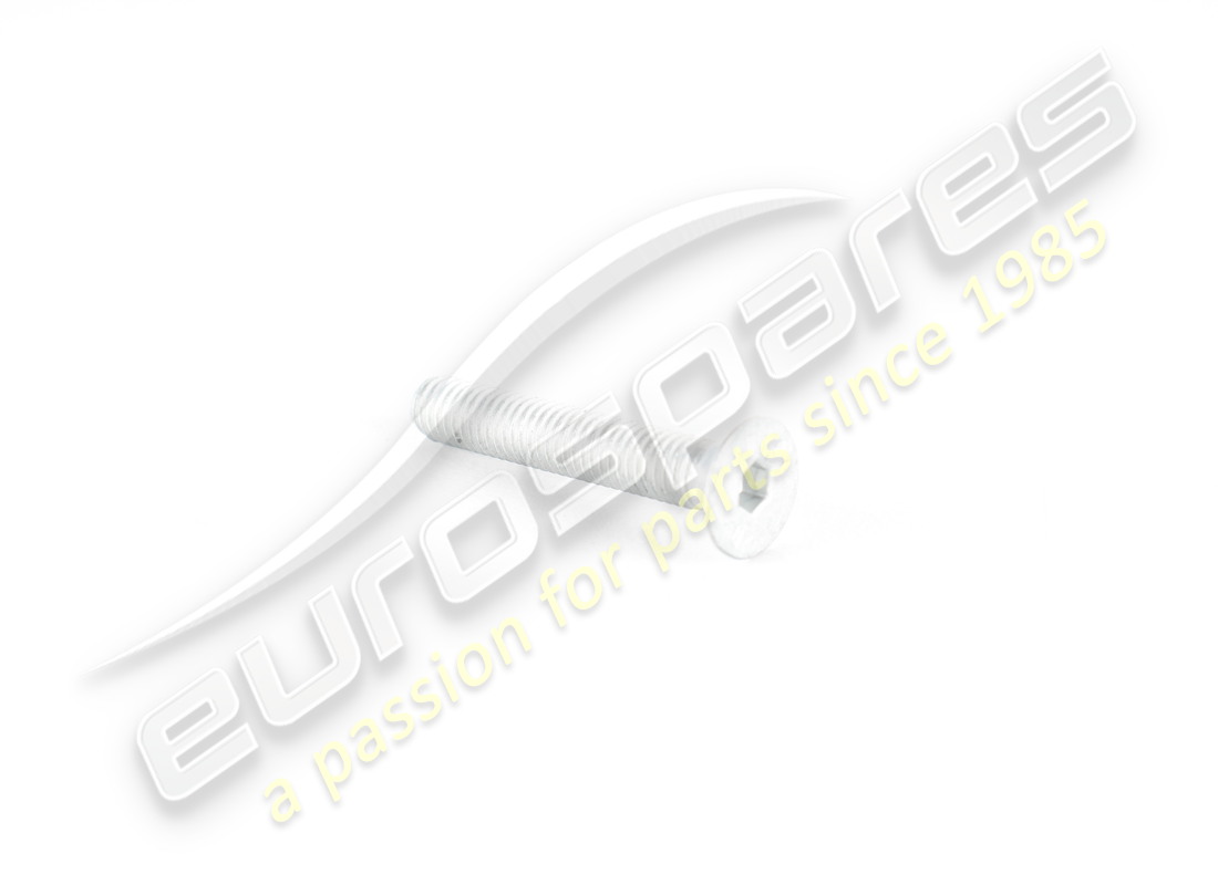 neue ferrari schraube. teilenummer 14441024 (1)