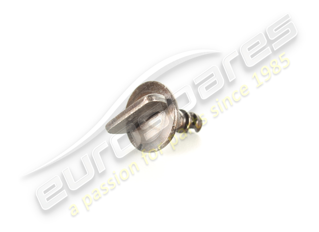 neue ferrari vierteldrehschraube. teilenummer 84927100 (1)