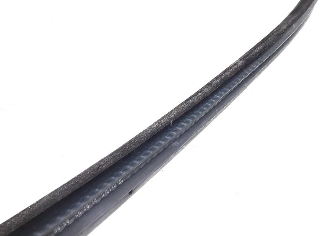 gebrauchte ferrari linke dichtung. teilenummer 64740100 (4)