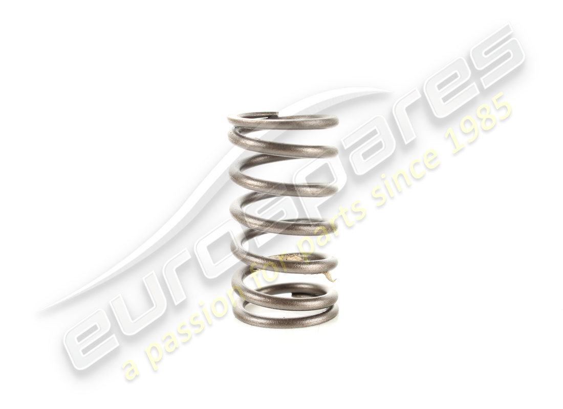 gebrauchte ferrari aussenventilfeder. teilenummer 167386 (2)